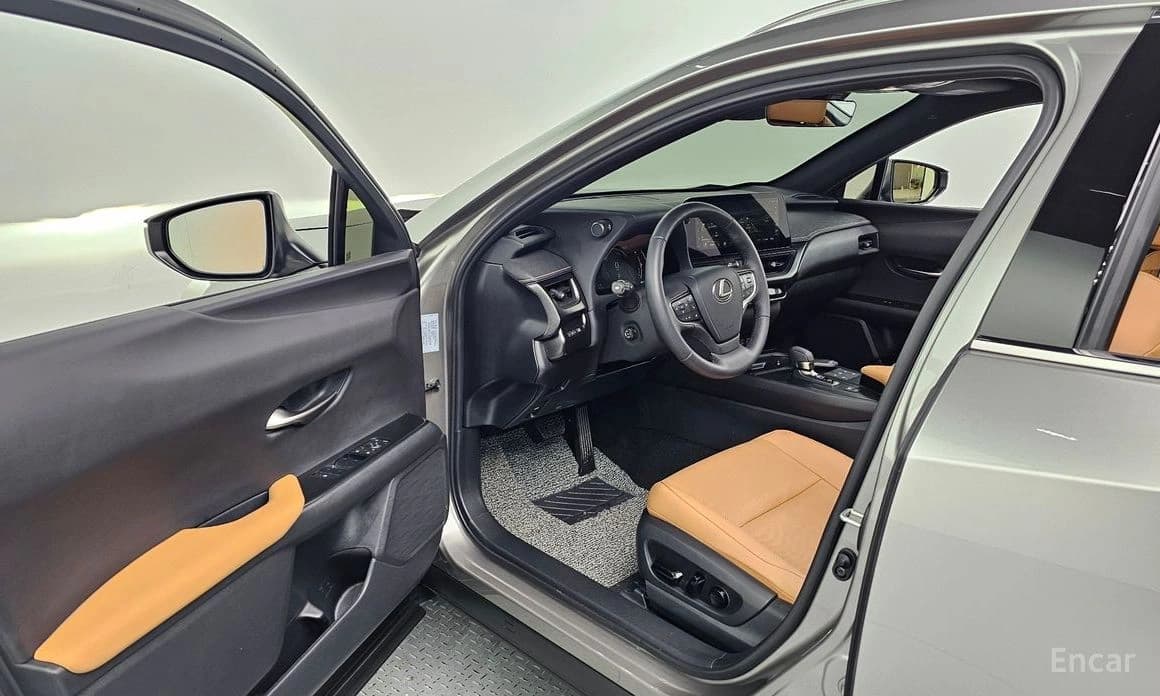Lexus UX300h 2.0 2WD