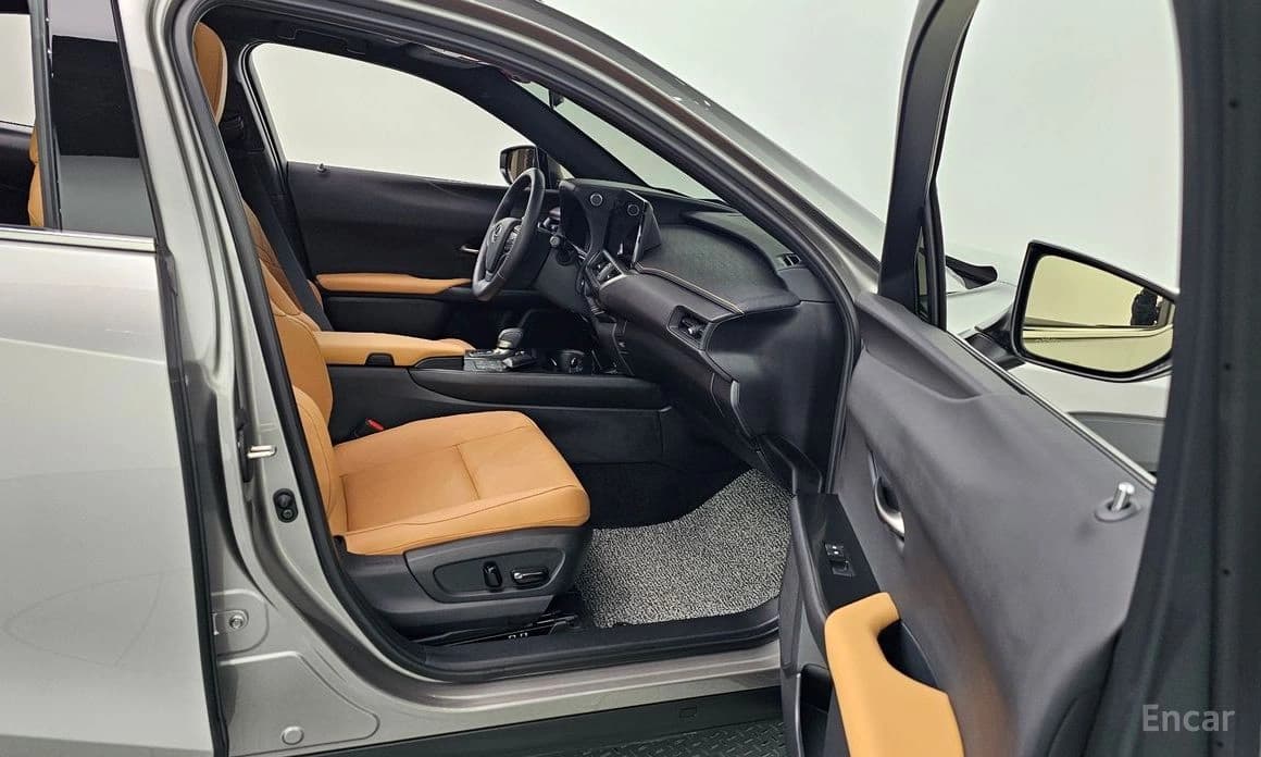 Lexus UX300h 2.0 2WD